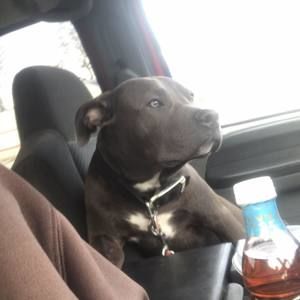 Meet your Posher, Danny